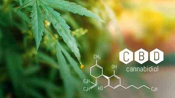 CBD - cannabidiol