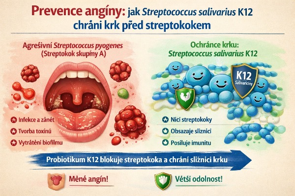Prevence angíny